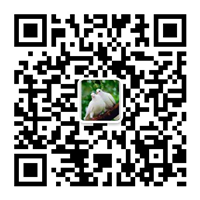 除塵設備_脫硝脫硫設備_污水處理_煙氣粉塵治理_唐山鉑銳環保科技有限公司